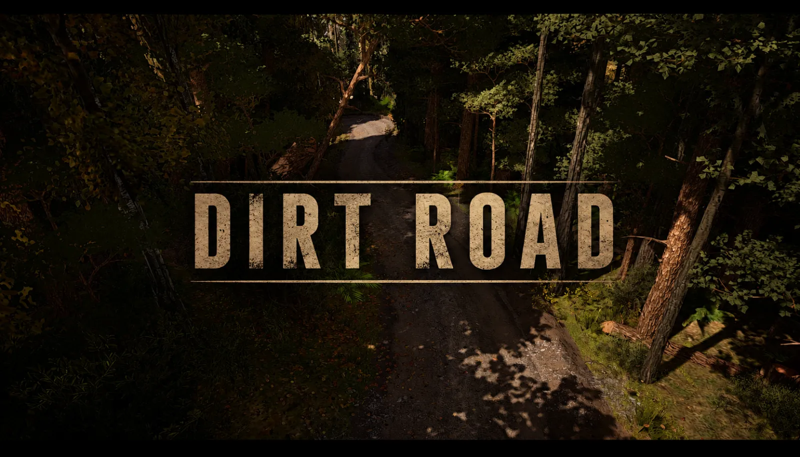 Dirt Road Through Forest